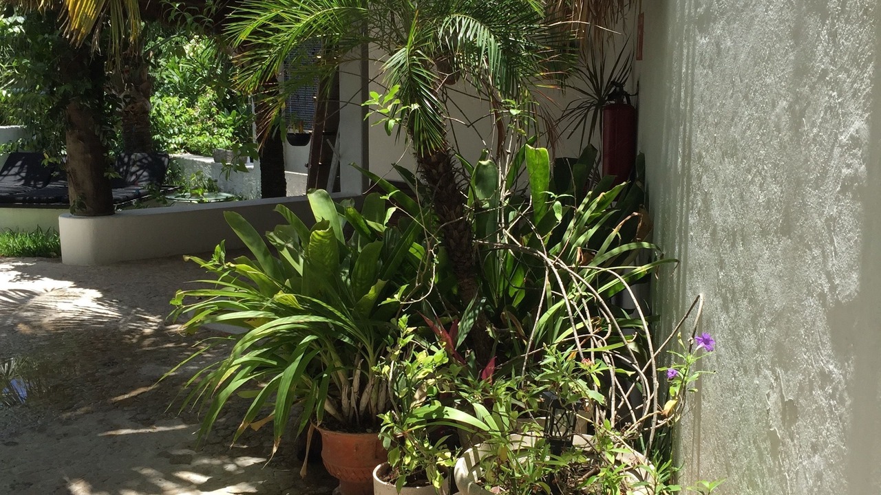 Photo of Others in Colonia Centro