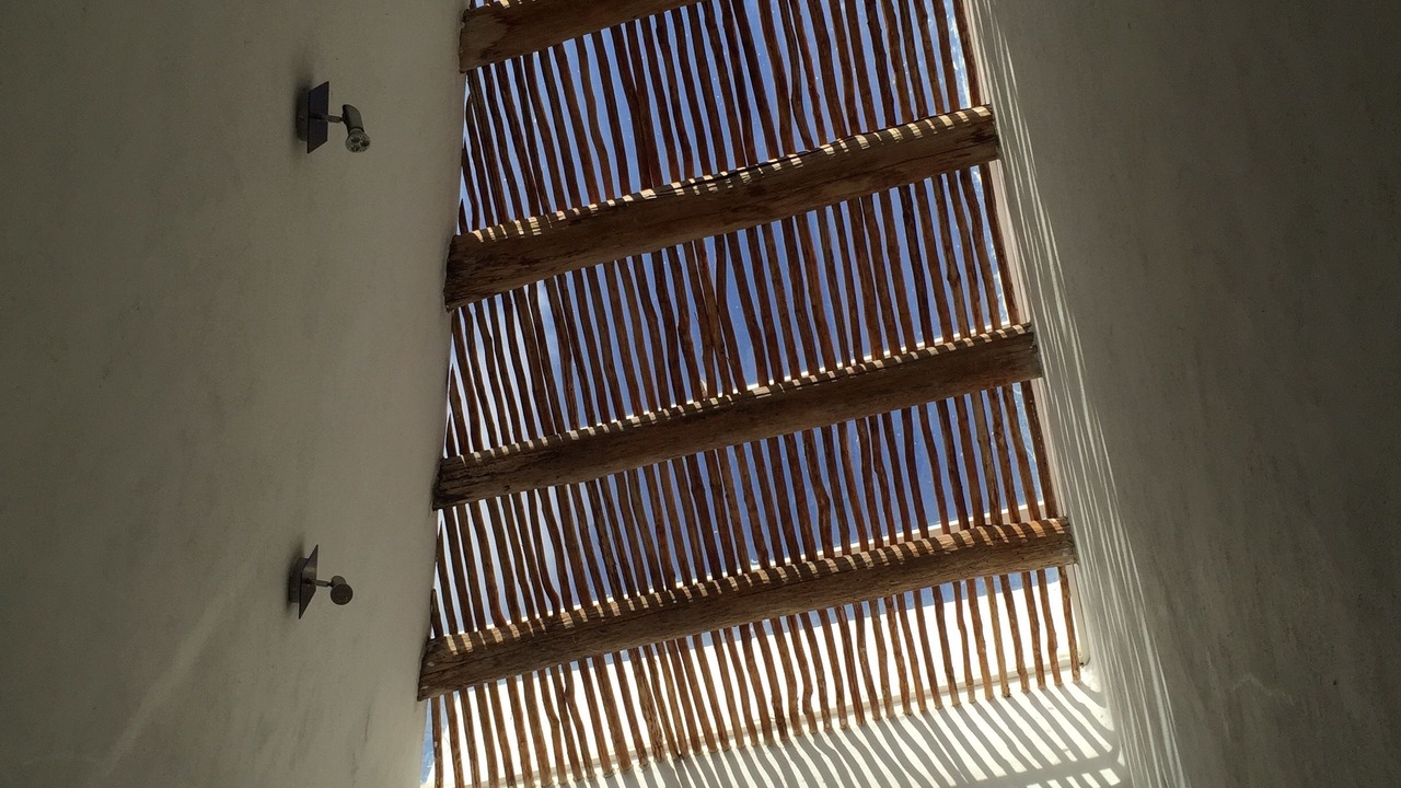 Photo of Others in Colonia Centro