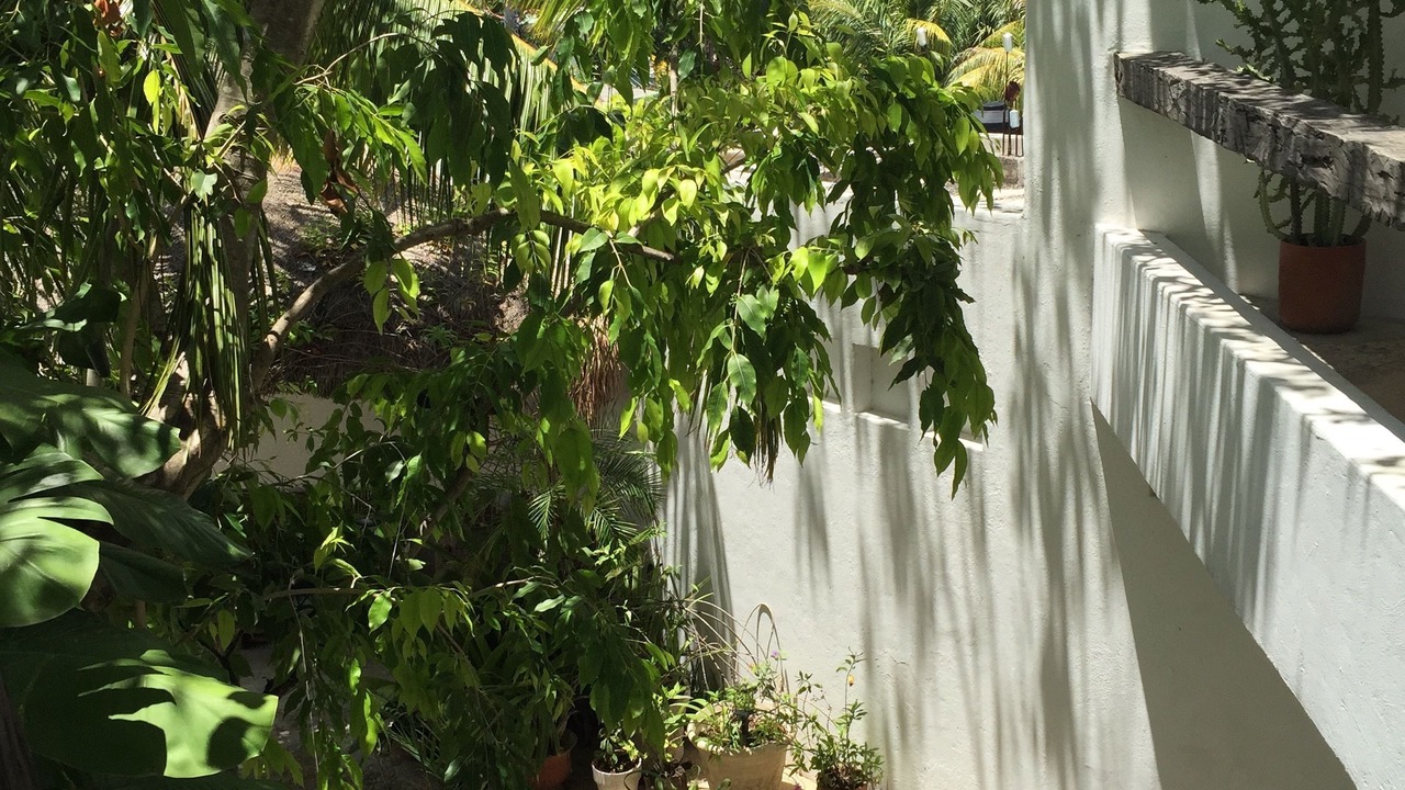 Photo of Others in Colonia Centro