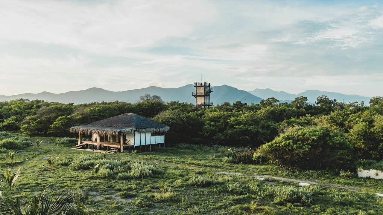 Photo of Others in Tonala
