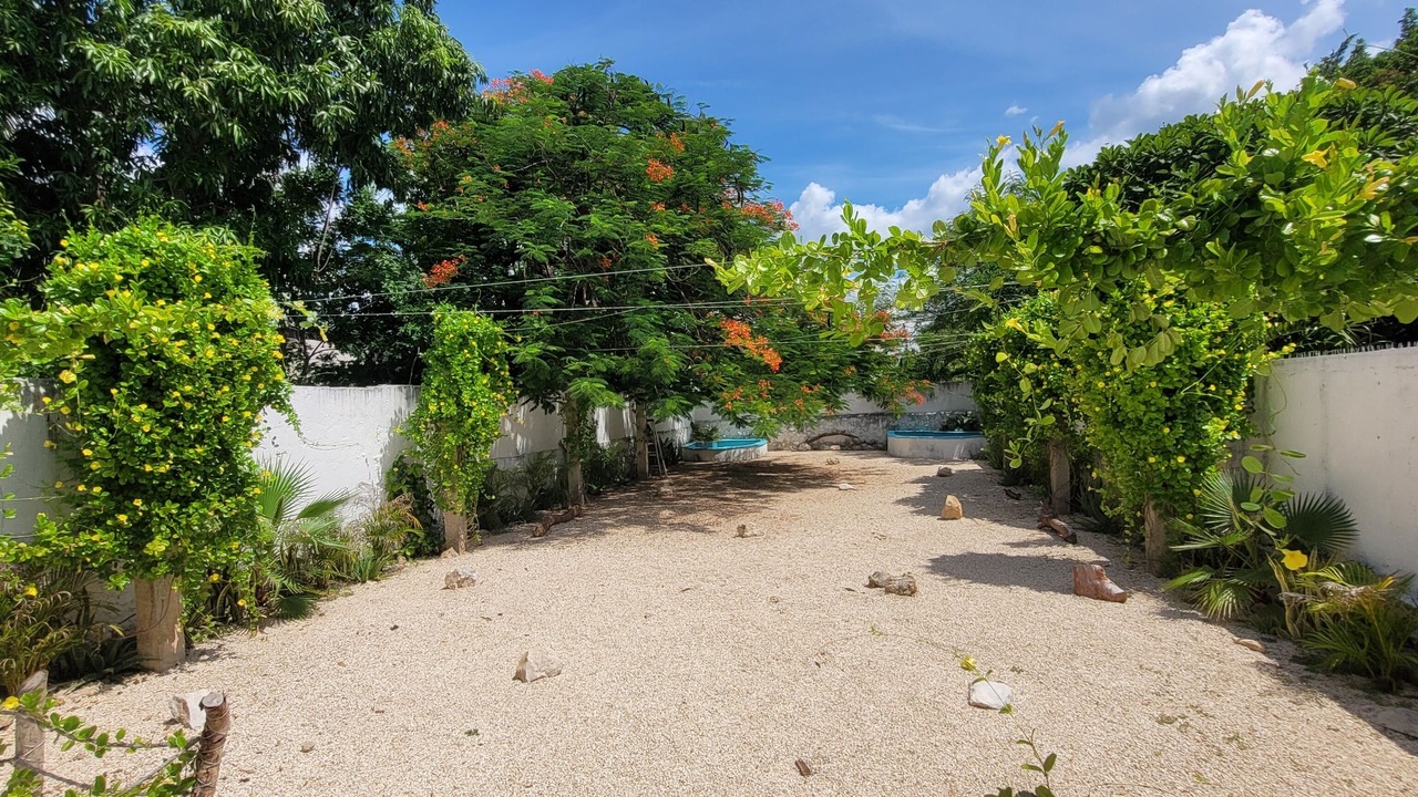 Photo of Outdoor in Centro