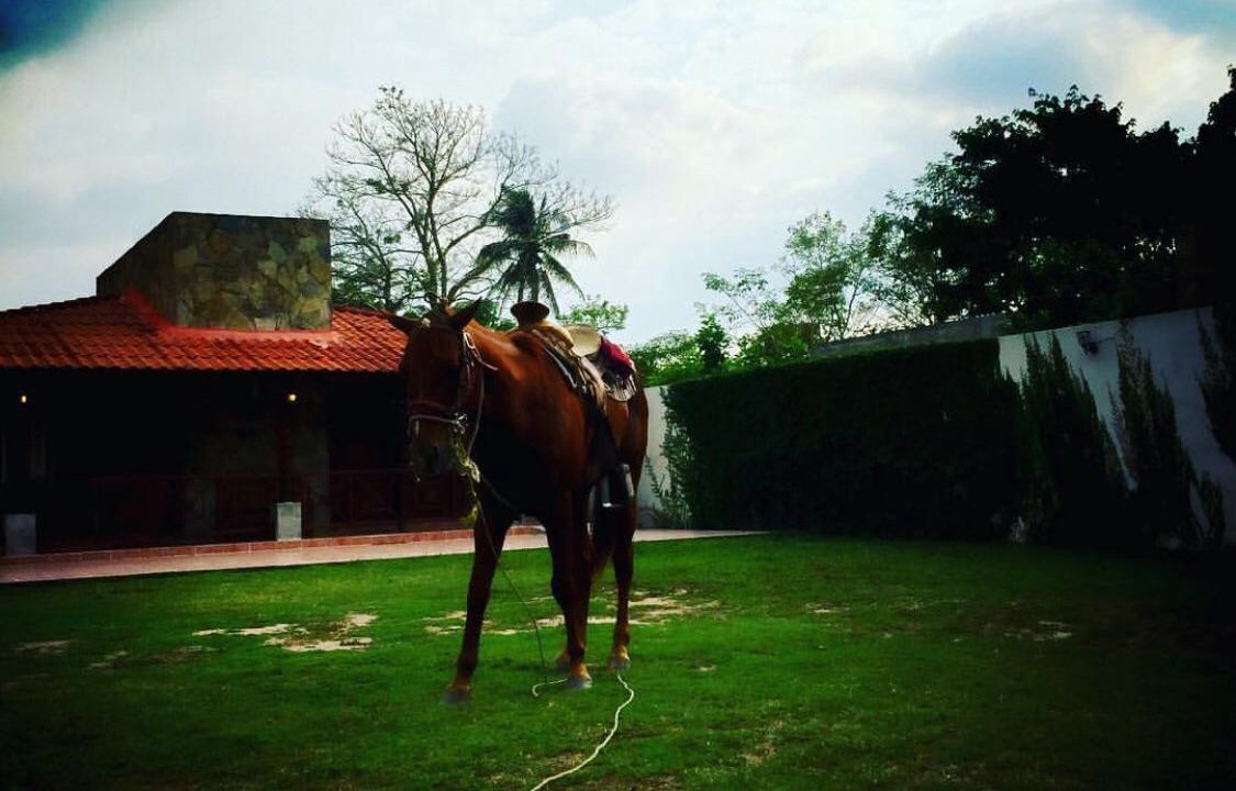 Photo of Outdoor in Comalcalco