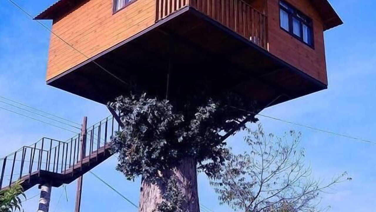 Photo of Others in Huasca De Ocampo