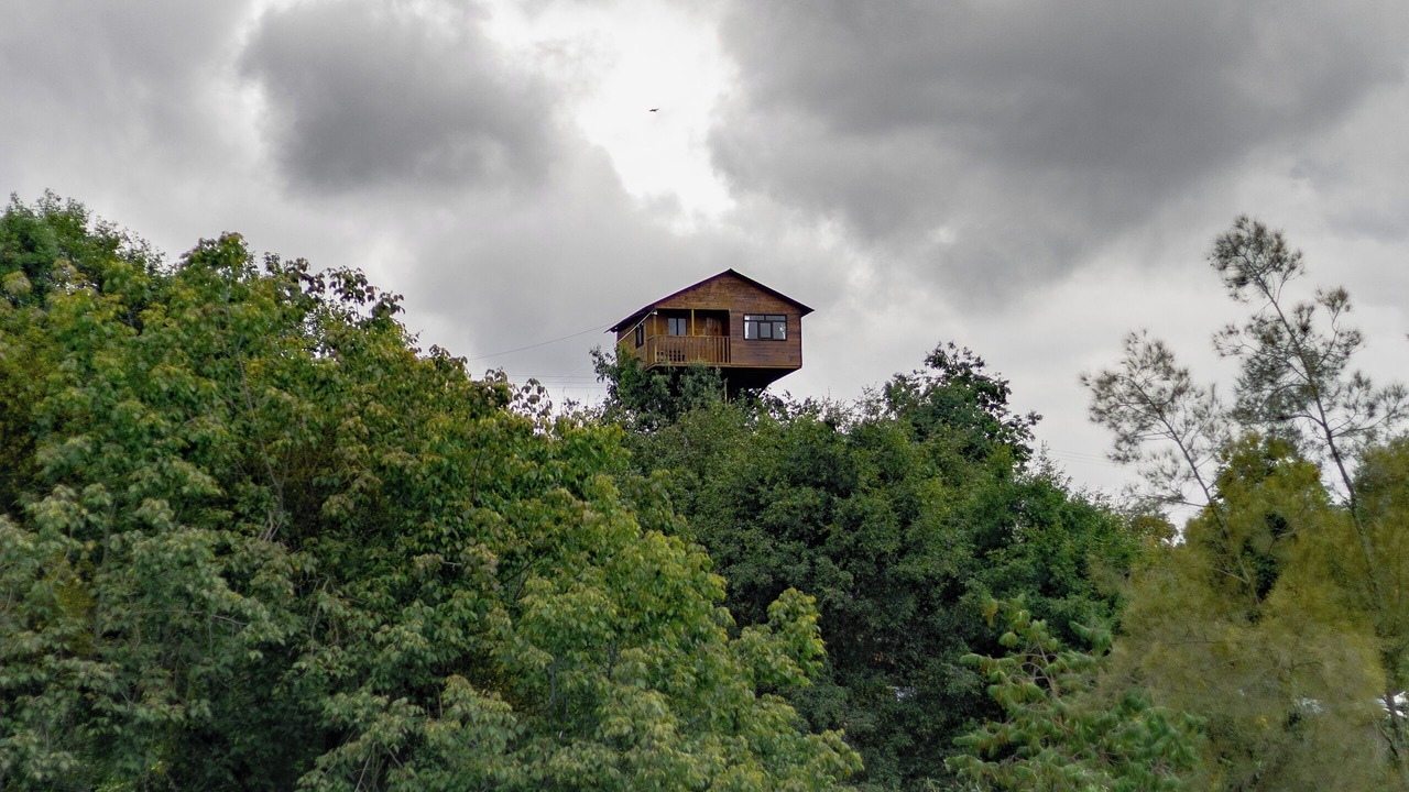 Photo of Others in Huasca De Ocampo