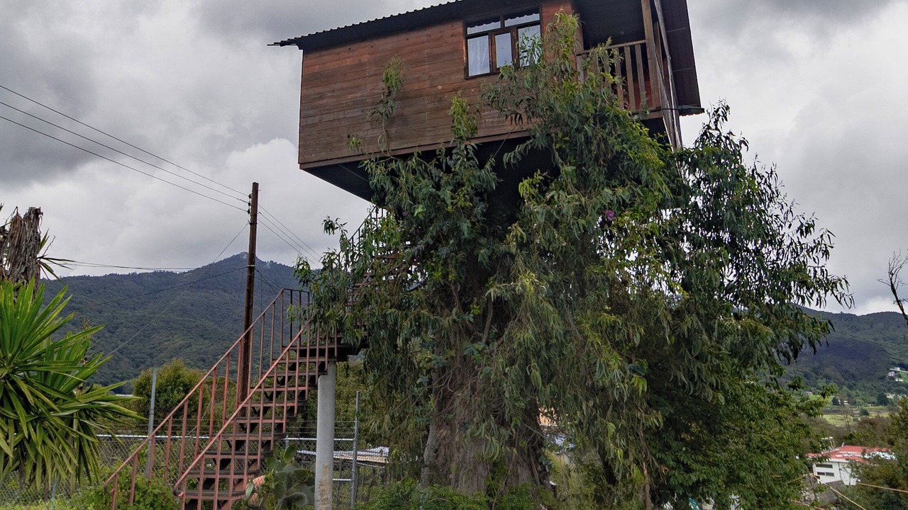 Photo of Others in Huasca De Ocampo