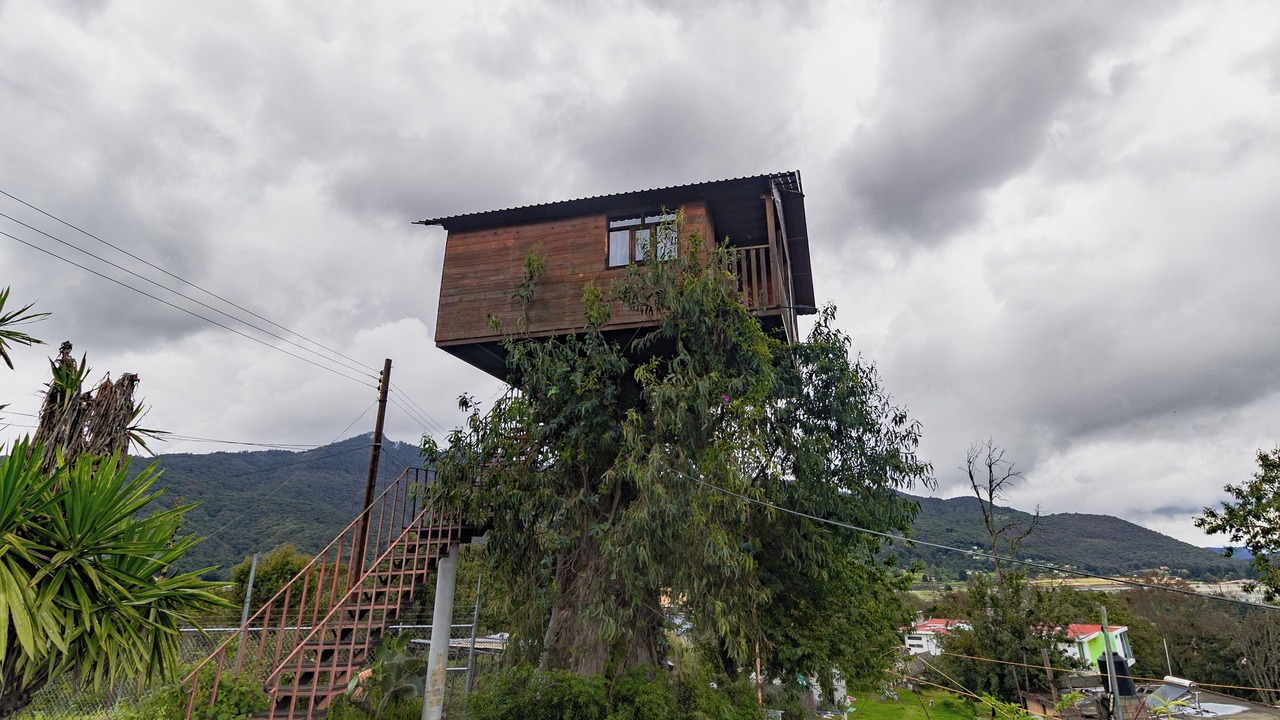 Photo of Others in Huasca De Ocampo