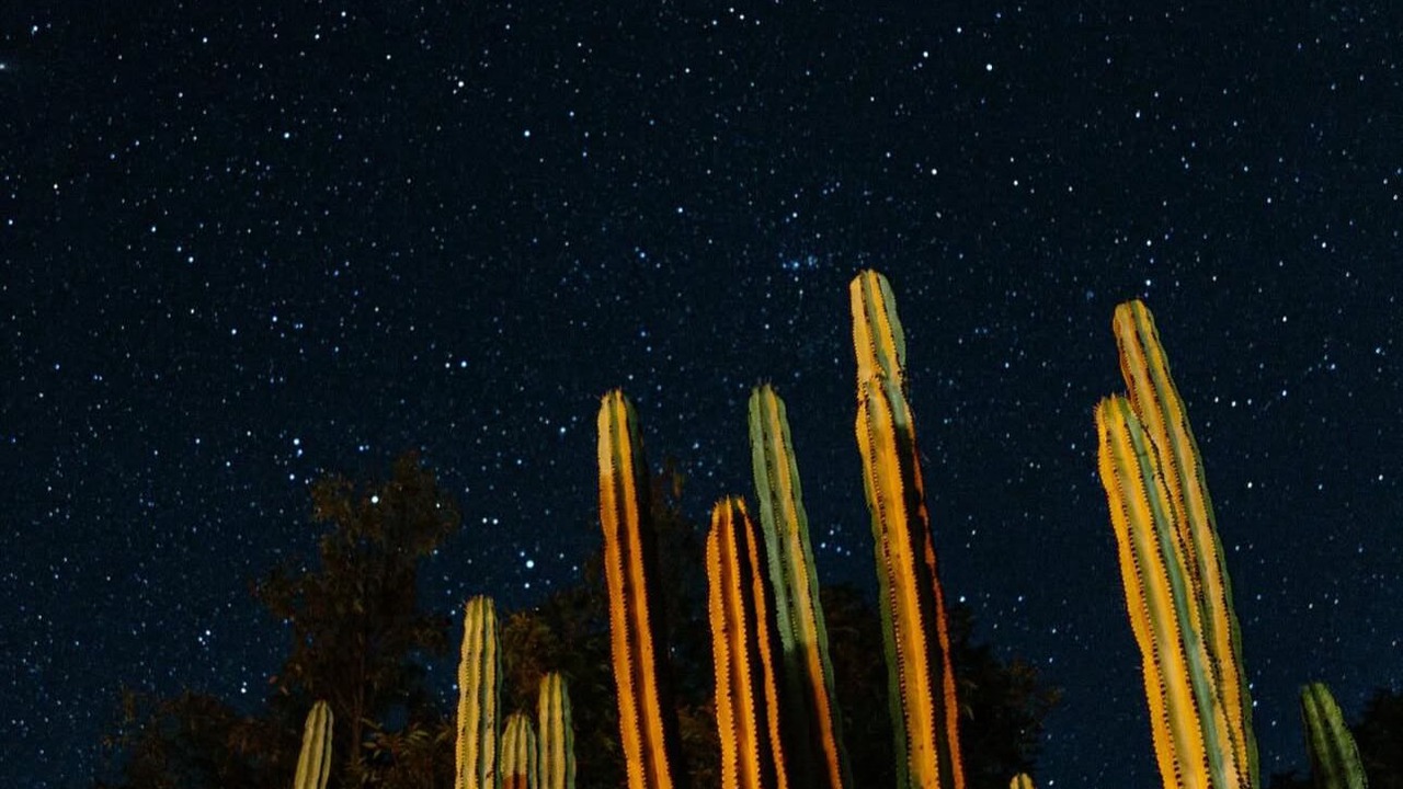 Photo of Outdoor in Amacueca