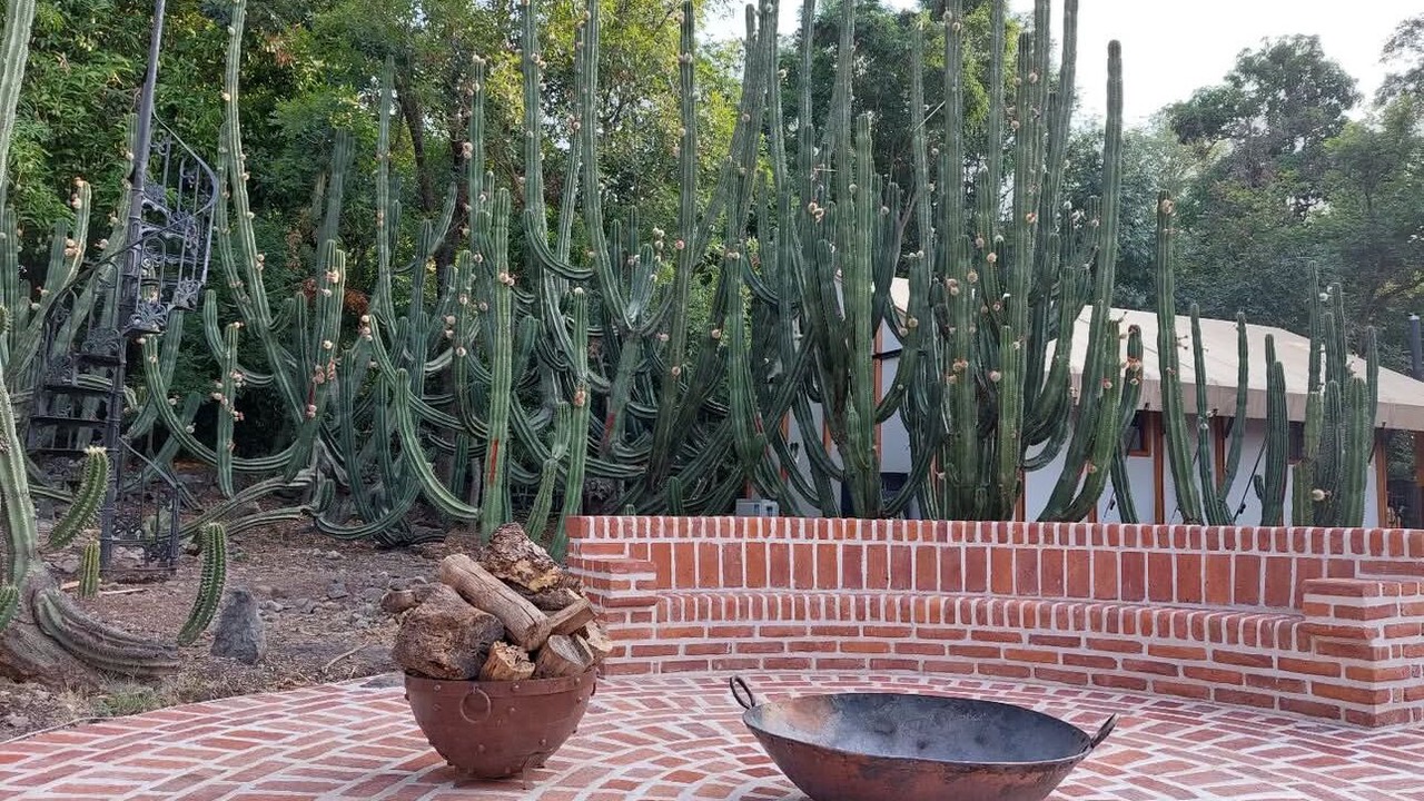 Photo of Outdoor in Amacueca