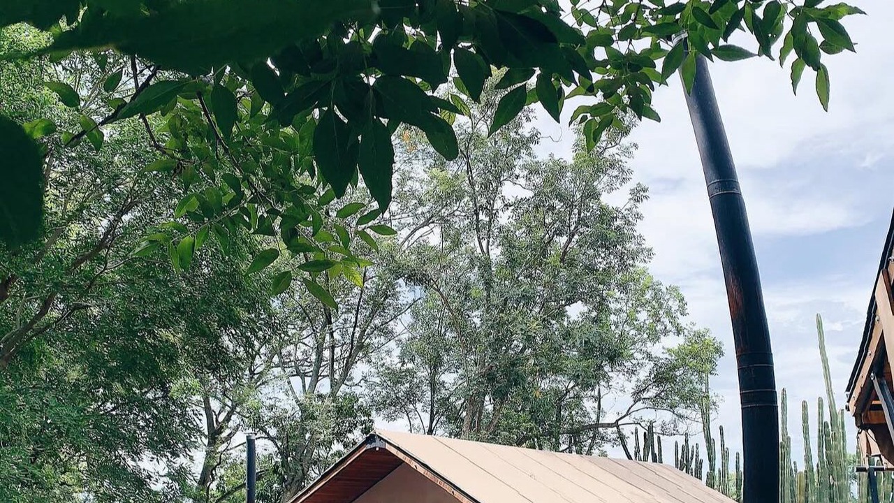 Photo of Outdoor in Amacueca