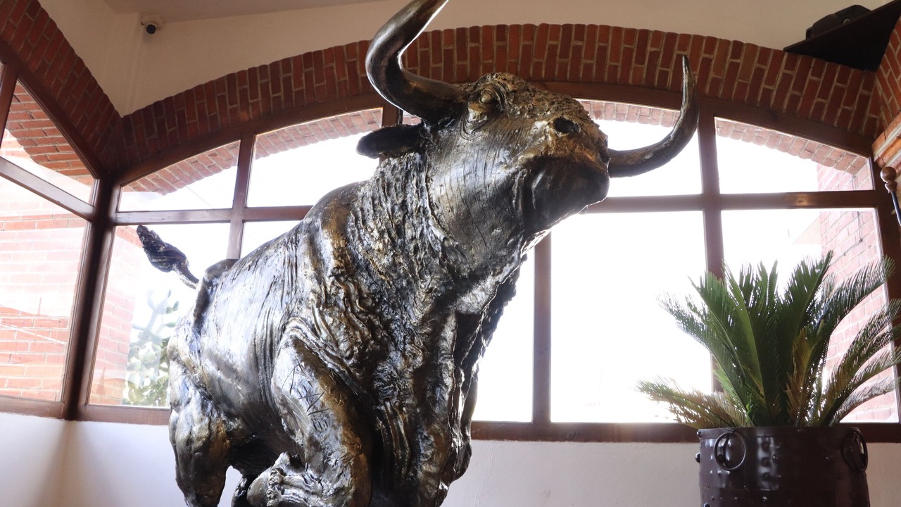 Photo of Others in Huamantla