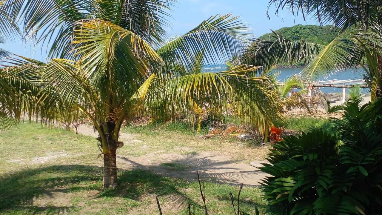 Photo of Others in Sontecomapan
