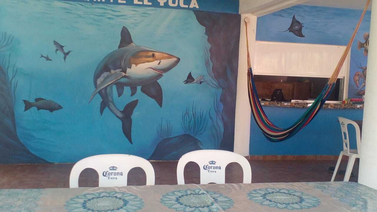 Photo of Others in Sontecomapan