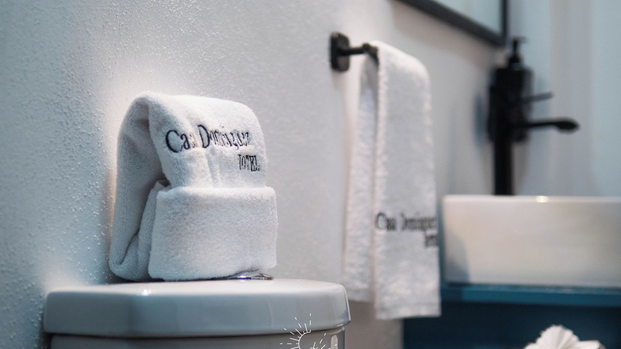 Photo of Bathroom in Centro