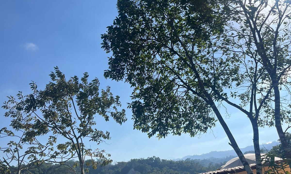 Photo of Outdoor in Puerto Vallarta