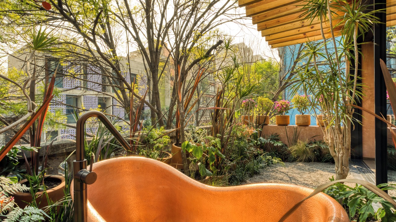 Photo of Patio Balcony in Roma Norte