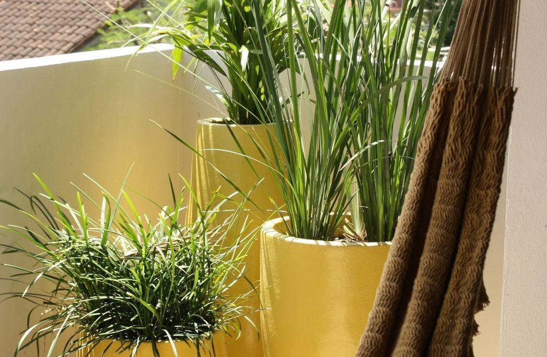 Photo of Outdoor in San Francisco