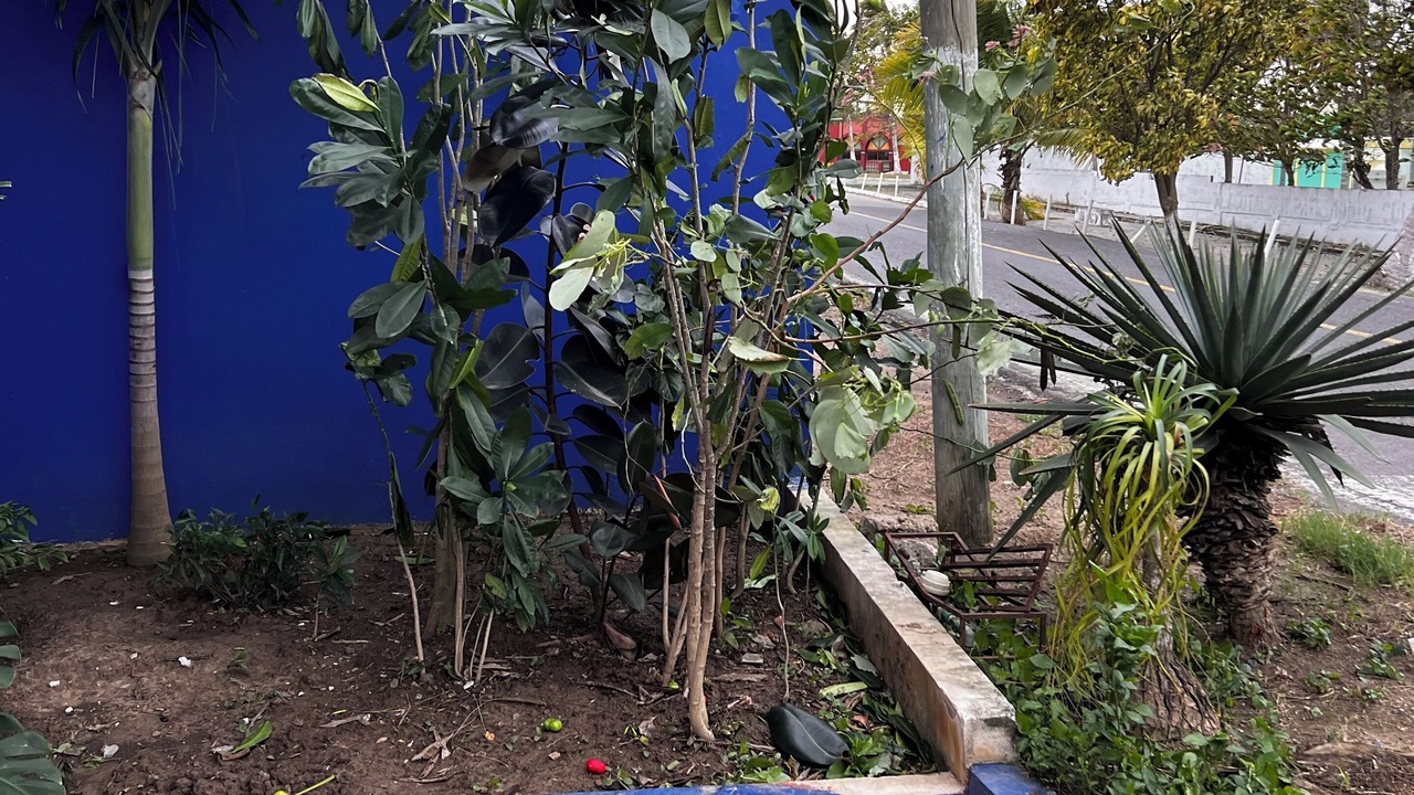 Photo of Outdoor in Tlacotalpan