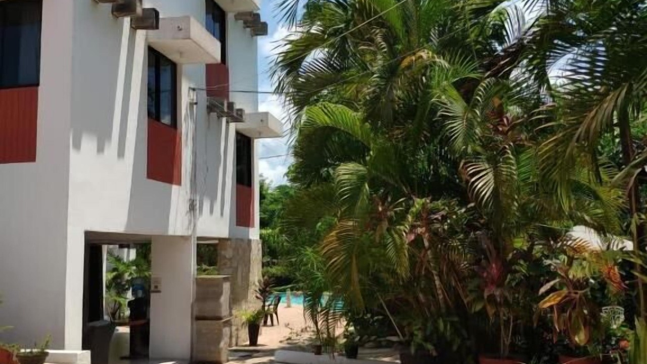 Photo of Outdoor in Palenque