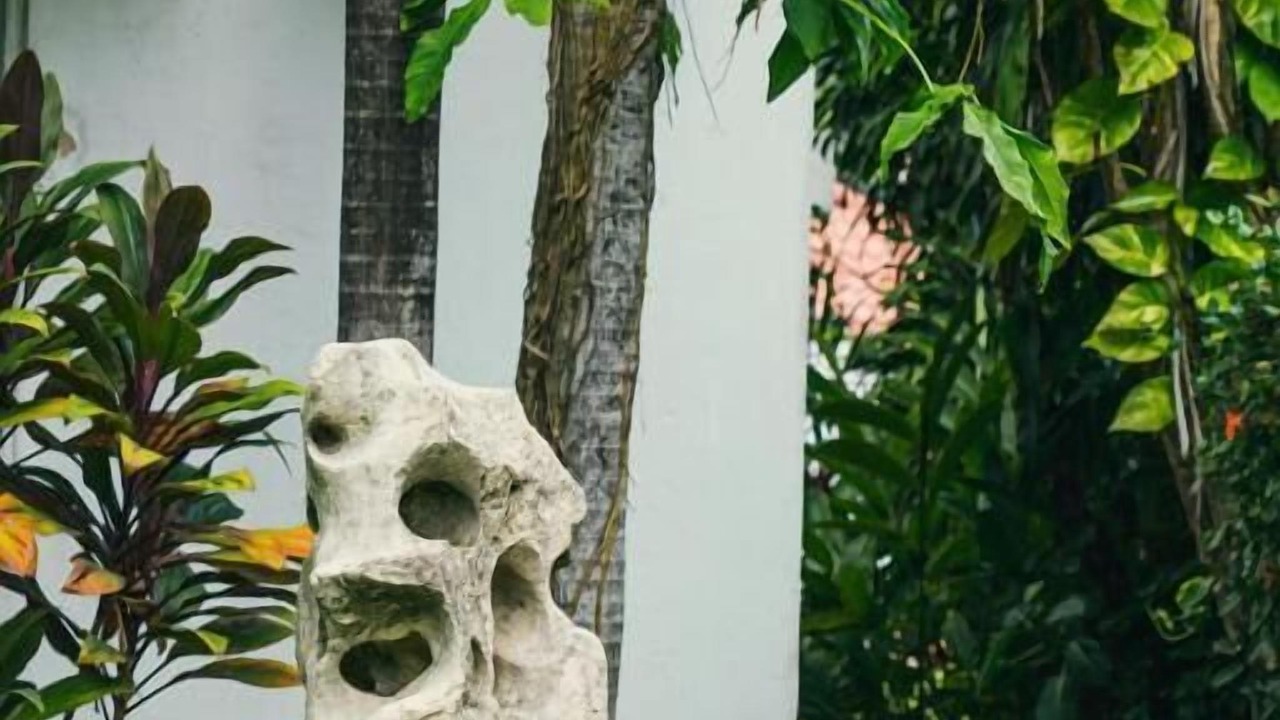 Photo of Outdoor in Palenque