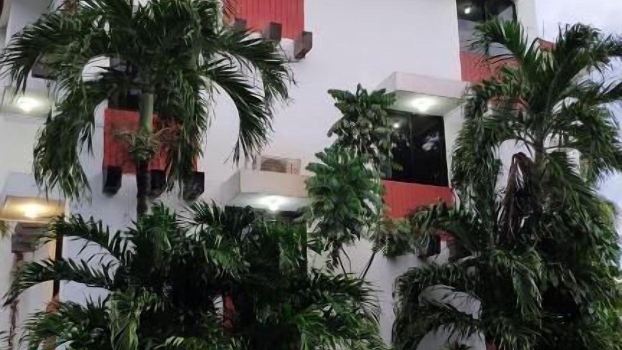 Photo of Outdoor in Palenque