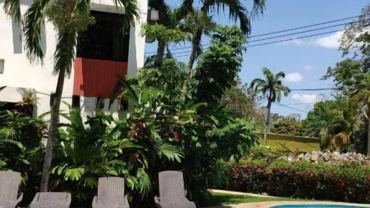 Photo of Outdoor in Palenque