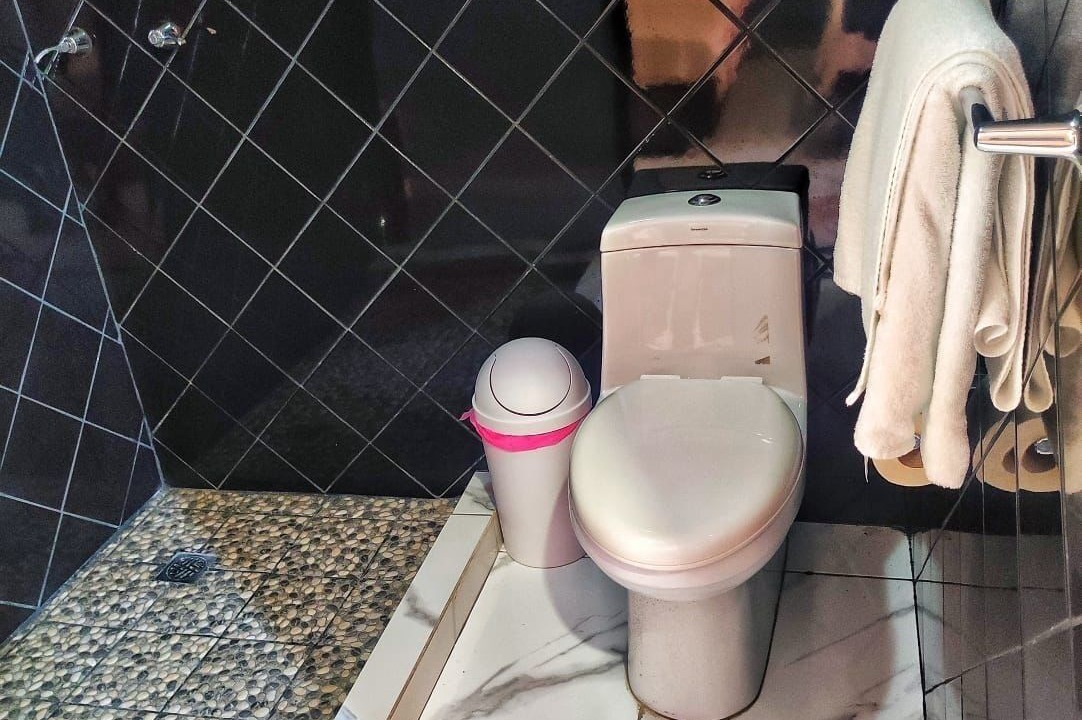 Photo of Bathroom in Tampico