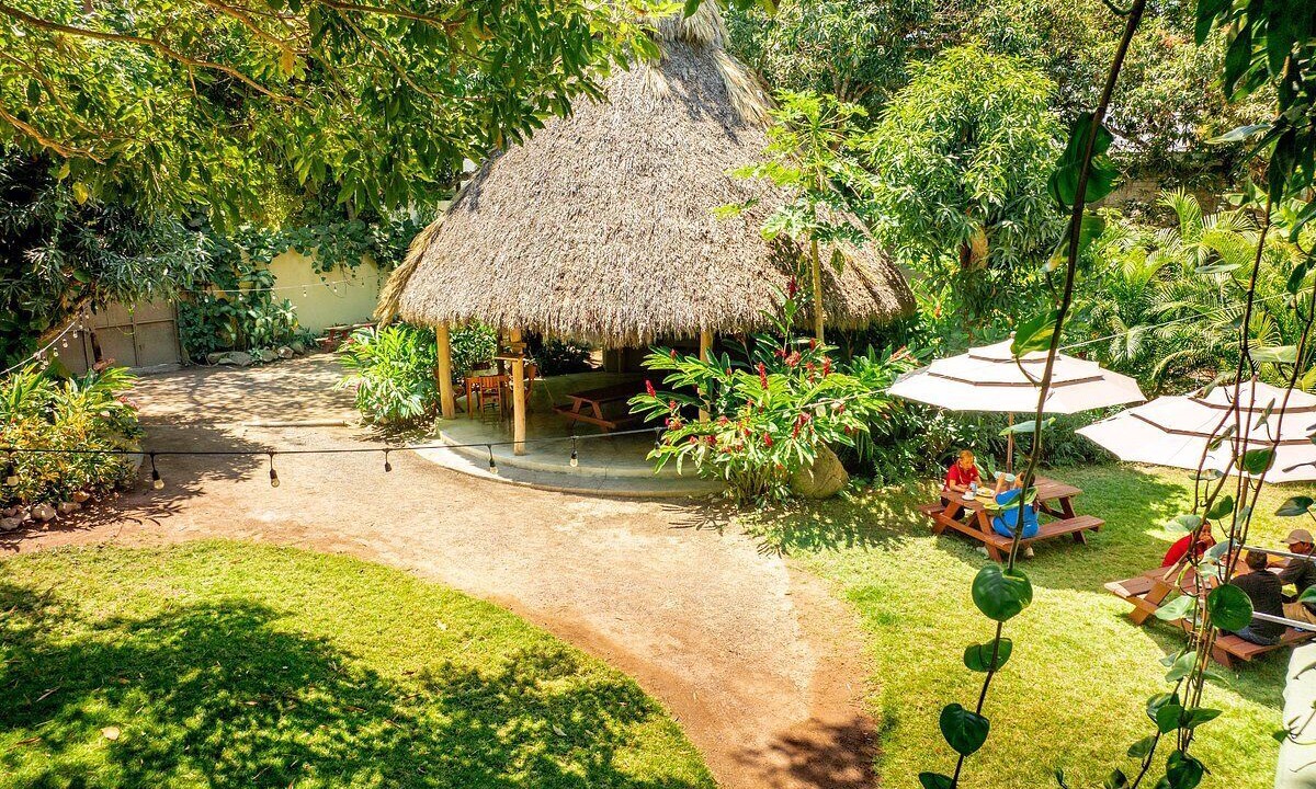 Photo of Outdoor in North End