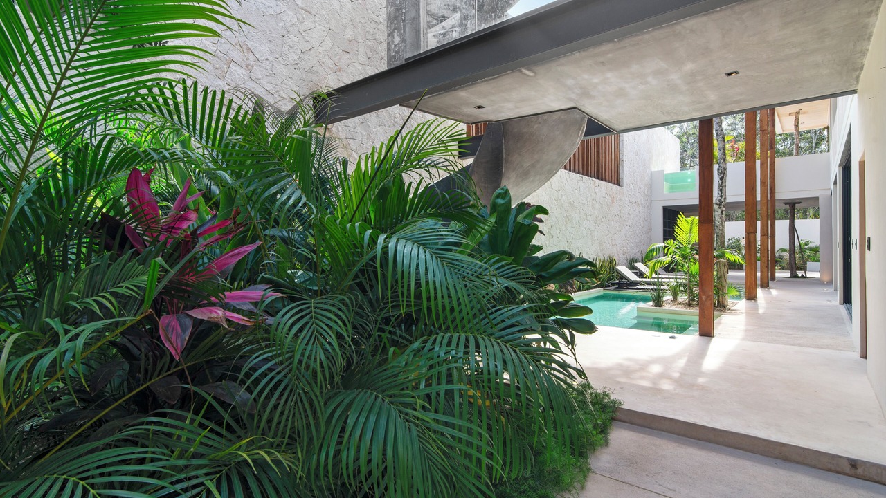 Photo of Others in Tulum