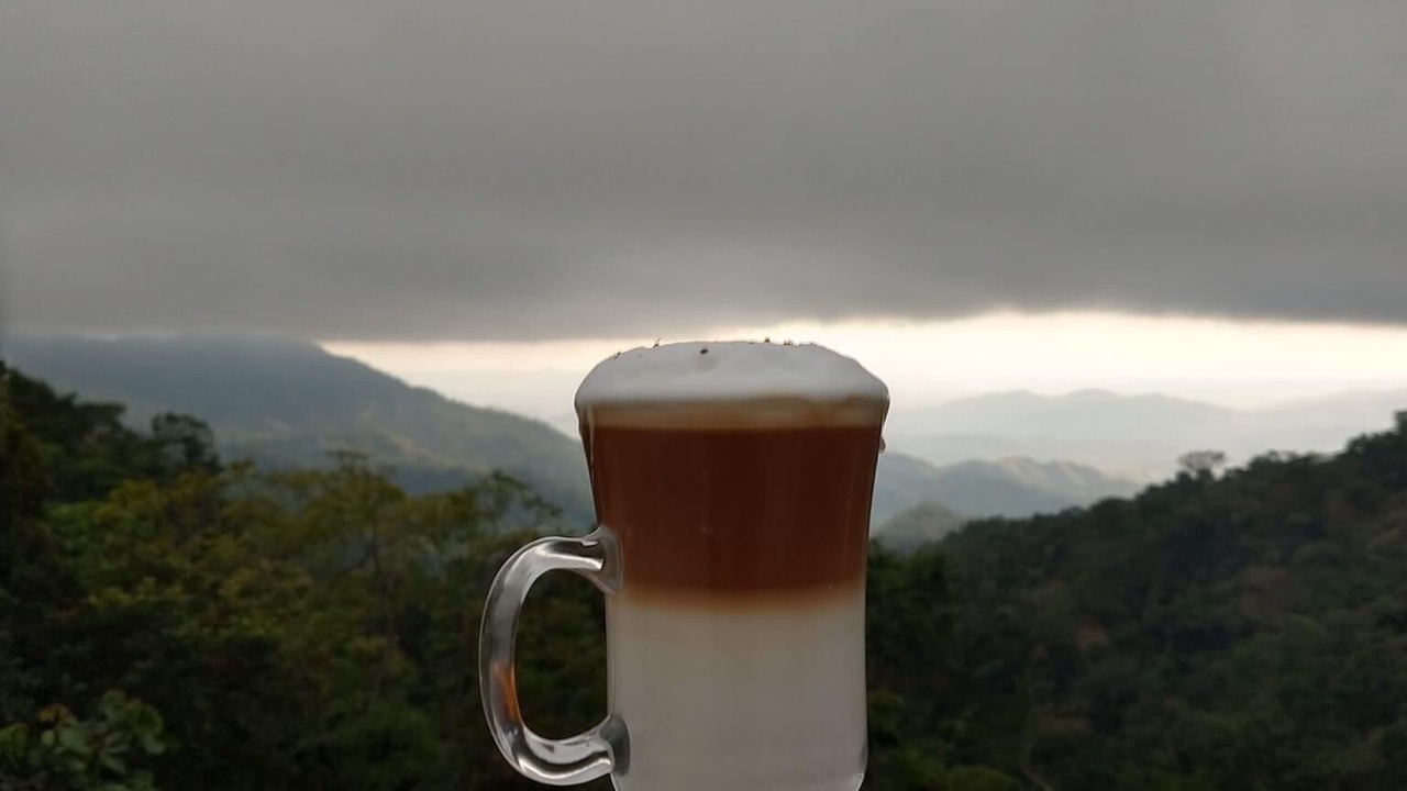 Photo of Others in Pluma Hidalgo