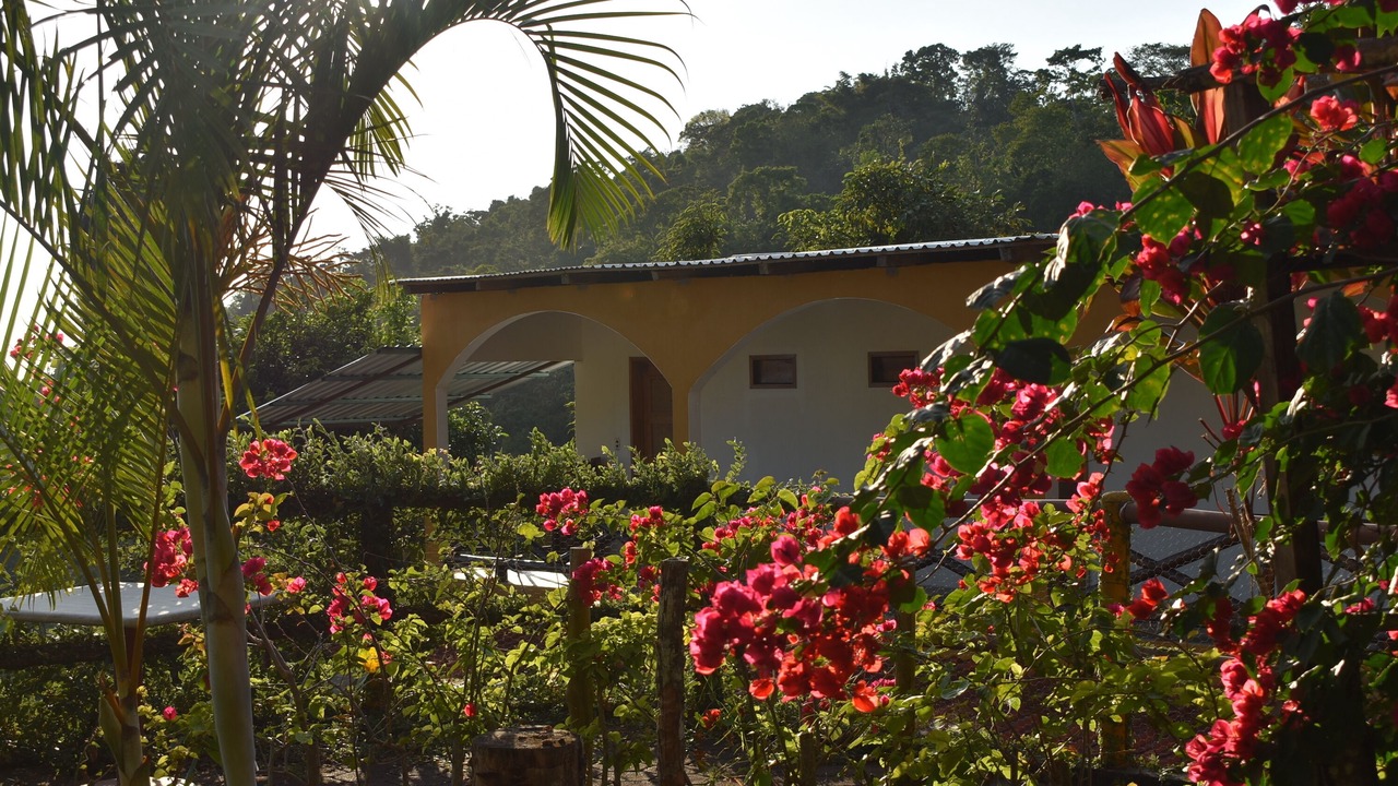 Photo of Outdoor in Pluma Hidalgo