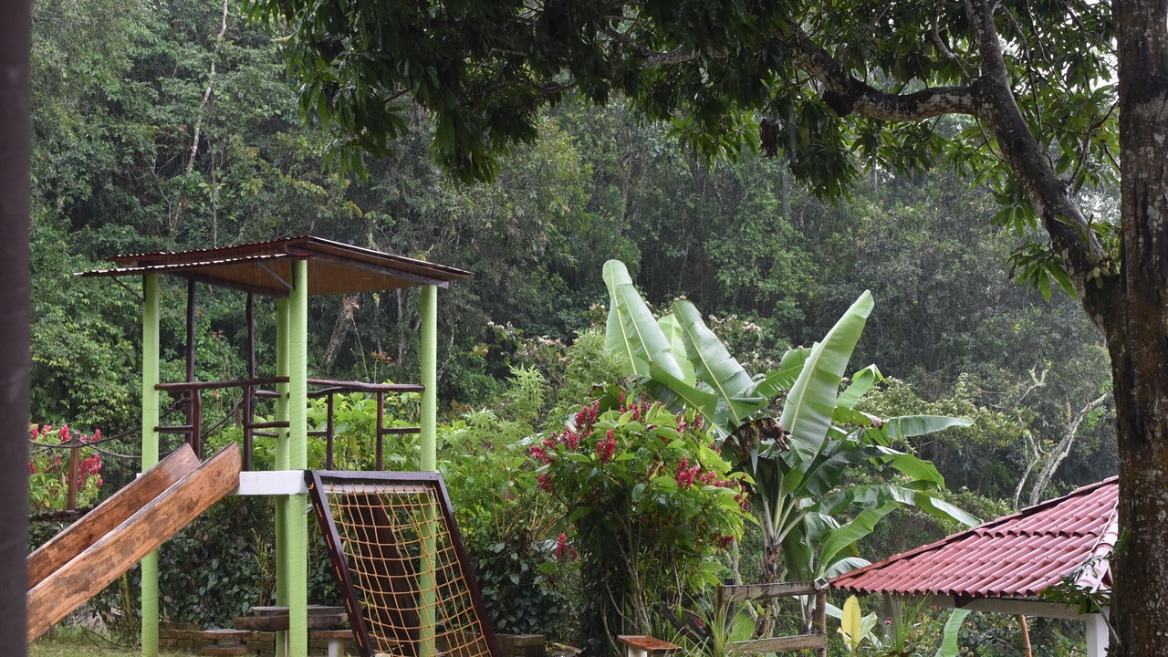 Photo of Outdoor in Pluma Hidalgo