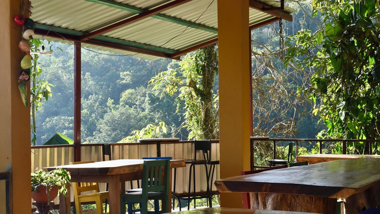 Photo of Others in Pluma Hidalgo