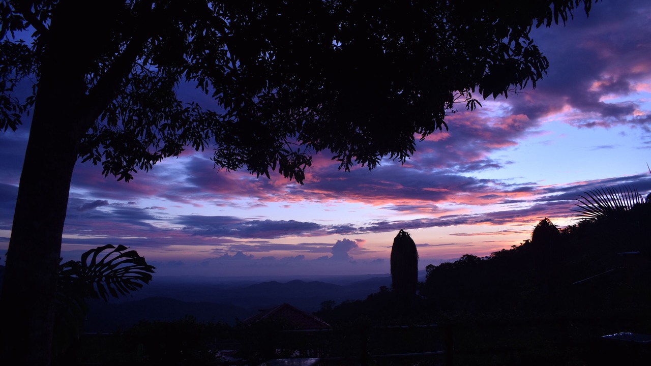 Photo of Livingroom in Pluma Hidalgo