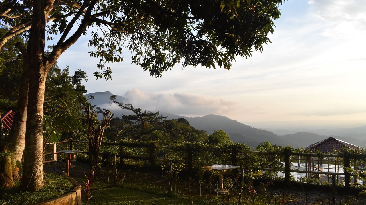 Photo of Outdoor in Pluma Hidalgo