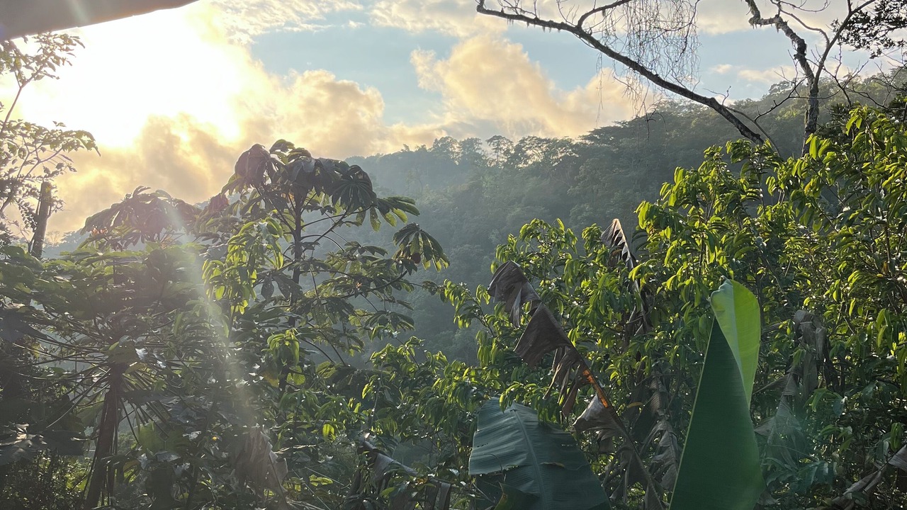 Photo of Patio Balcony in Pluma Hidalgo