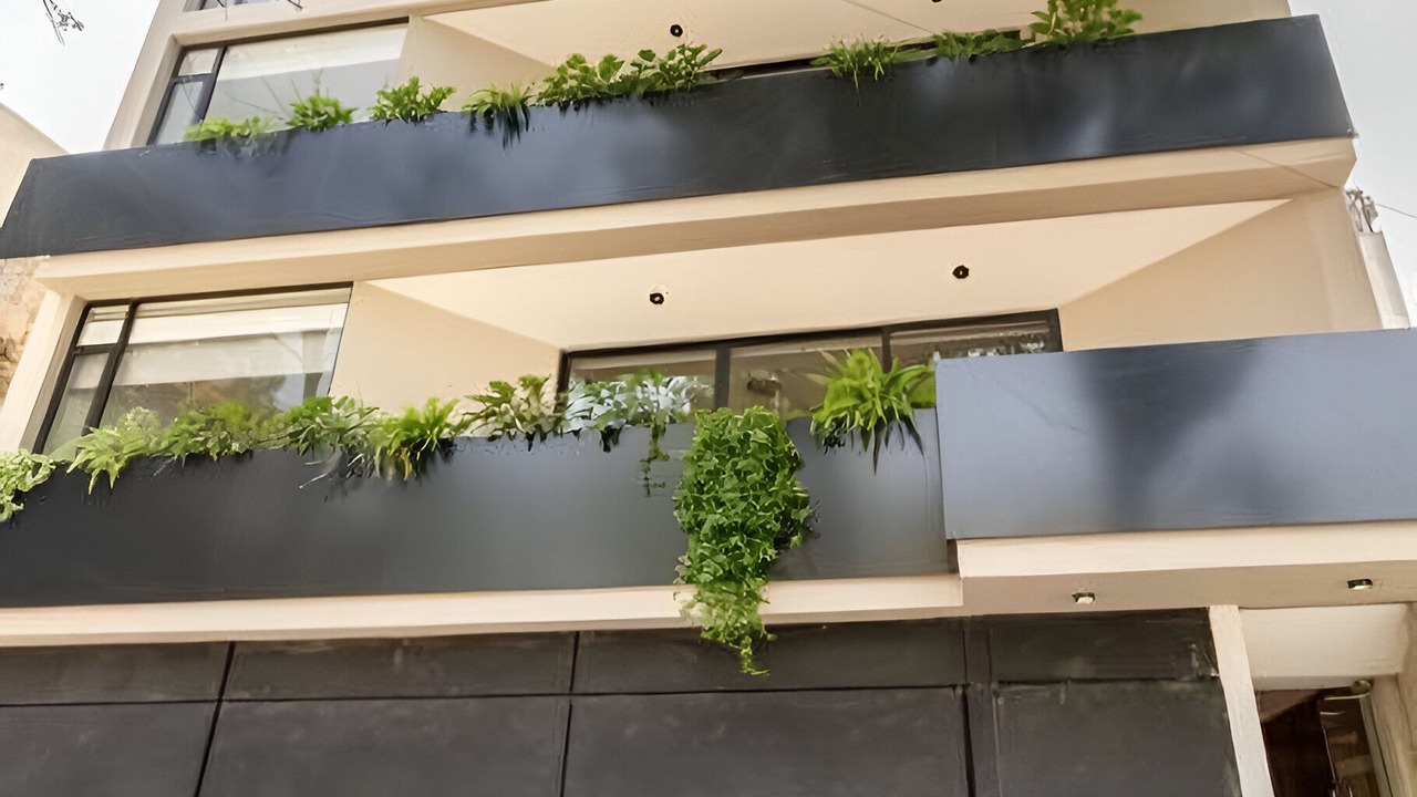 Photo of Outdoor in Benito Juarez