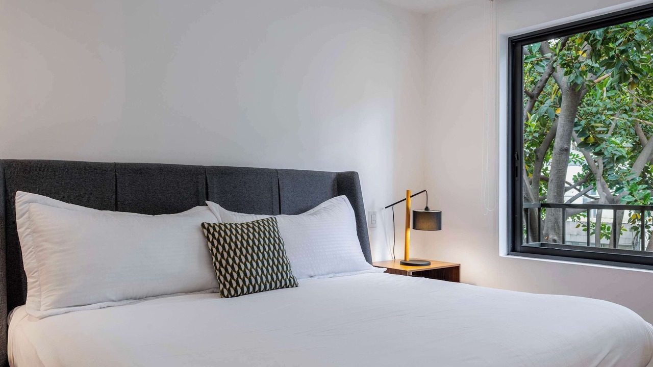 Photo of Others in Miguel Hidalgo