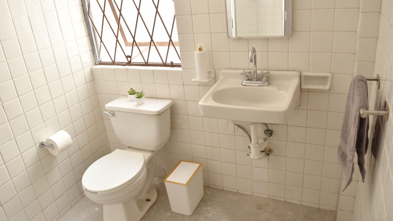 Photo of Others in Centro Historico