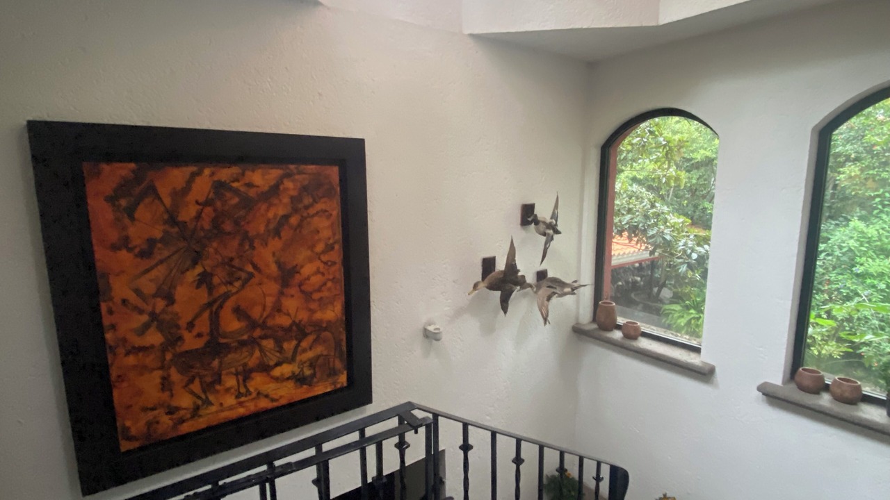 Photo of Others in Puebla