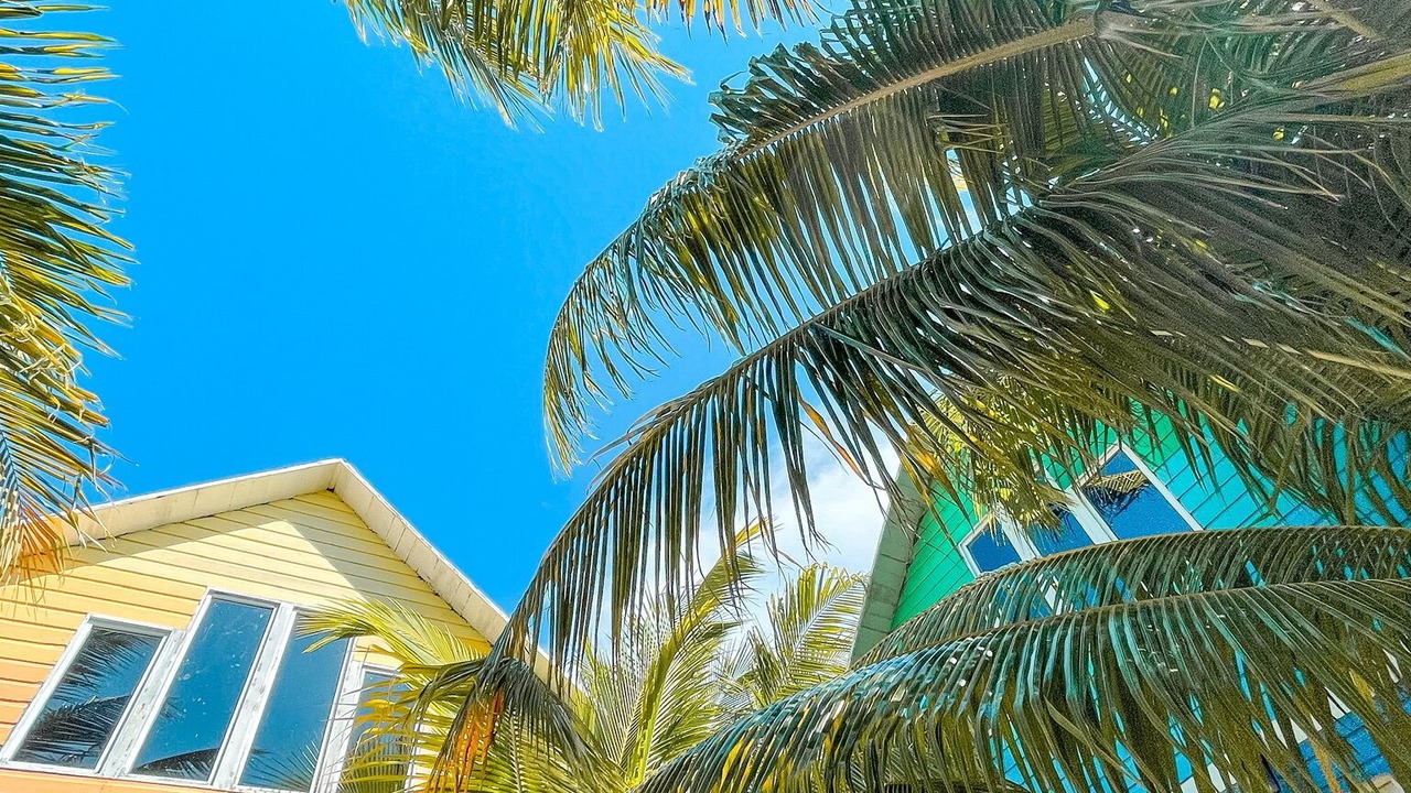 Photo of Outdoor in Isla Holbox