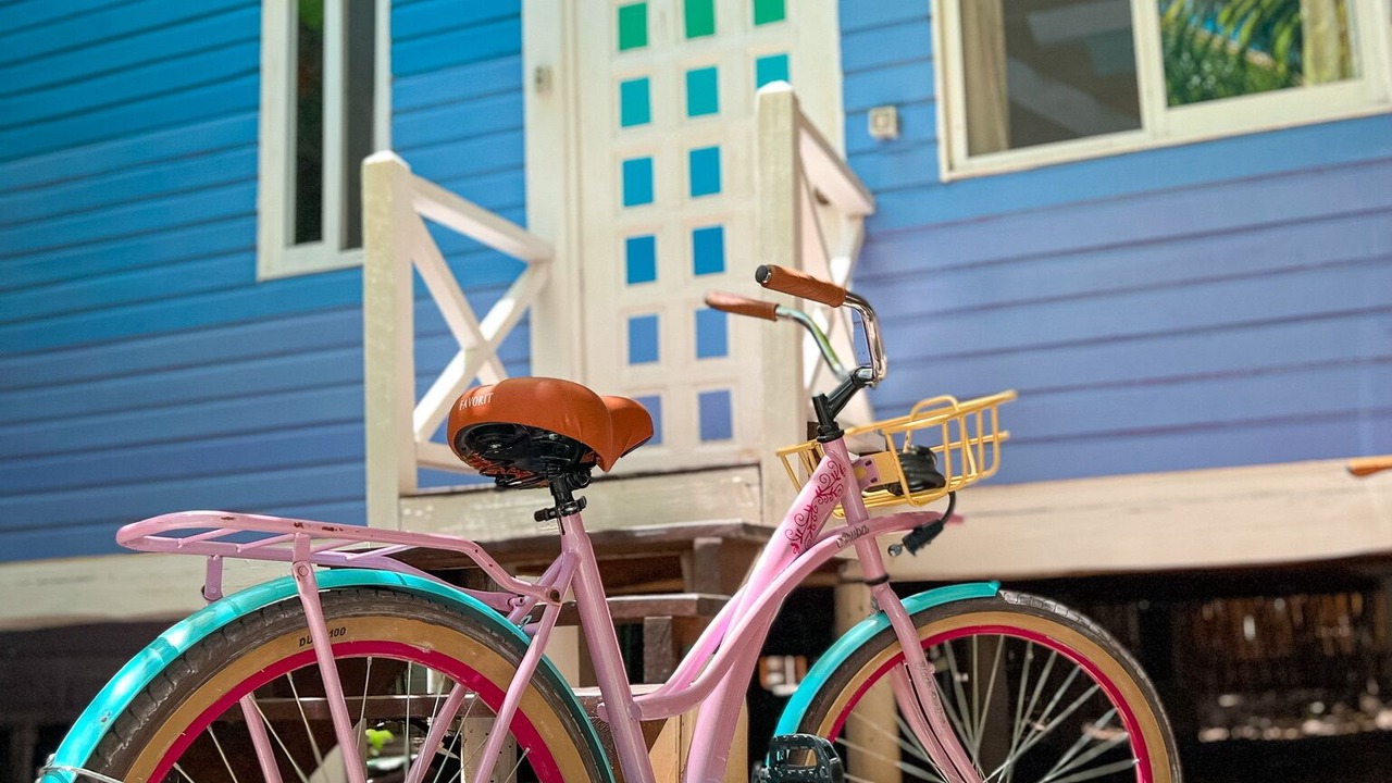 Photo of Outdoor in Isla Holbox