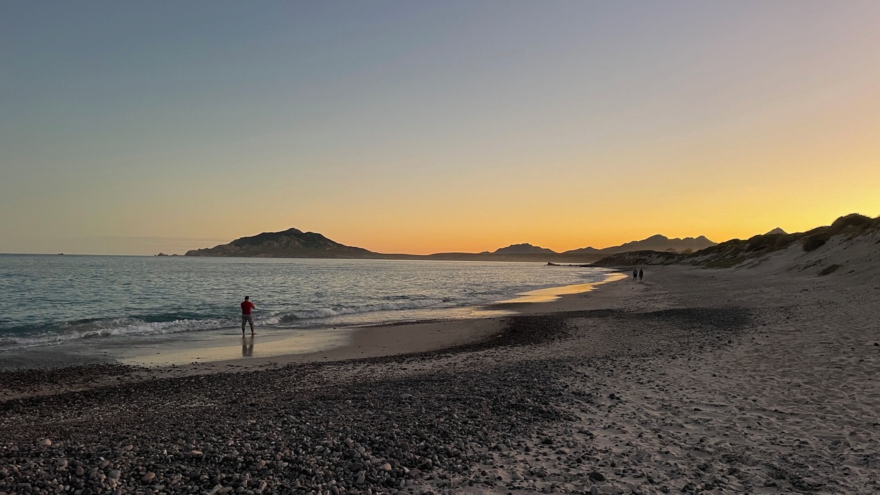 Photo of Others in Cabo Pulmo