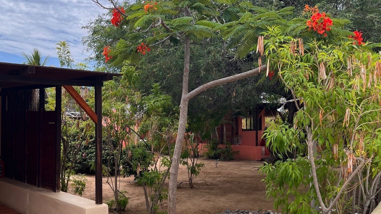 Photo of Outdoor in Cabo Pulmo