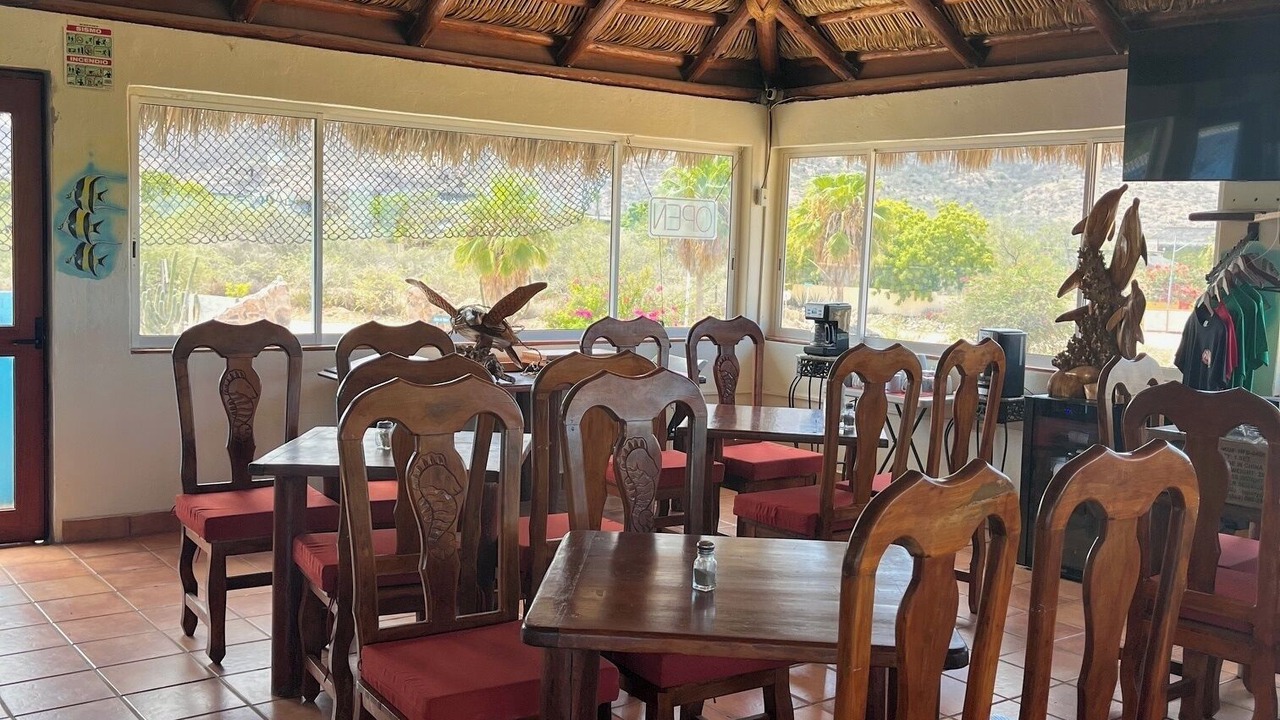 Photo of Others in Cabo Pulmo