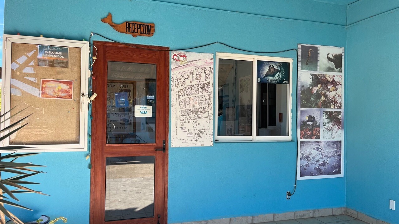 Photo of Others in Cabo Pulmo
