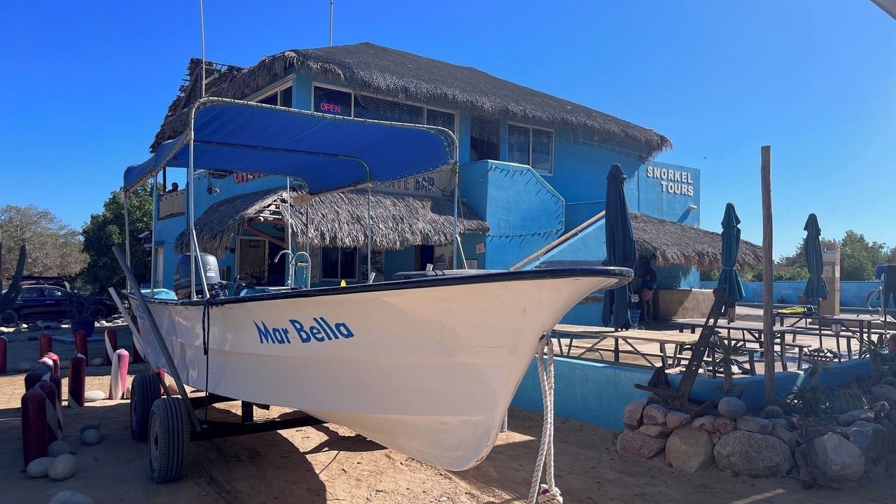 Photo of Others in Cabo Pulmo