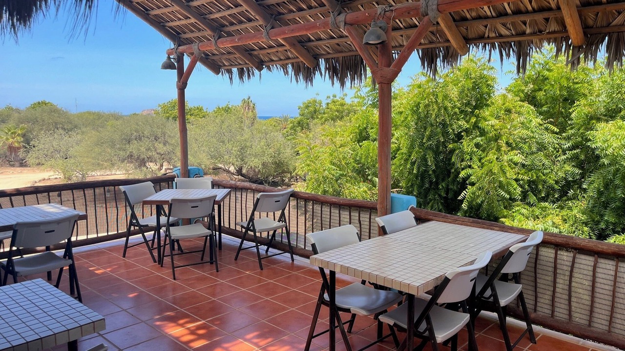 Photo of Others in Cabo Pulmo
