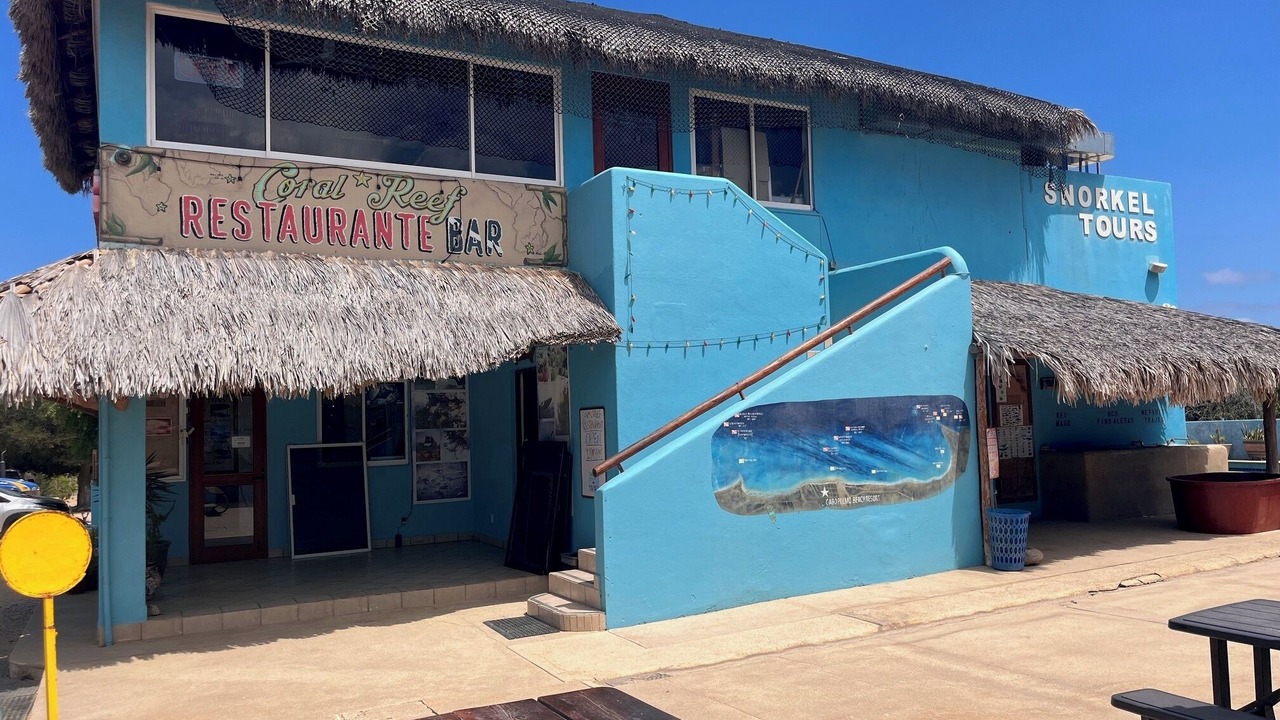 Photo of Others in Cabo Pulmo