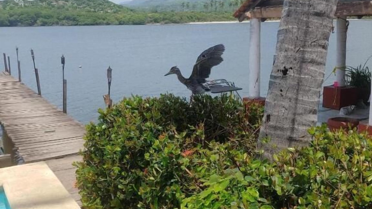 Photo of Outdoor in Pie de la Cuesta