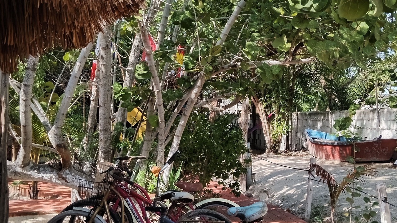 Photo of Outdoor in Rio Lagartos